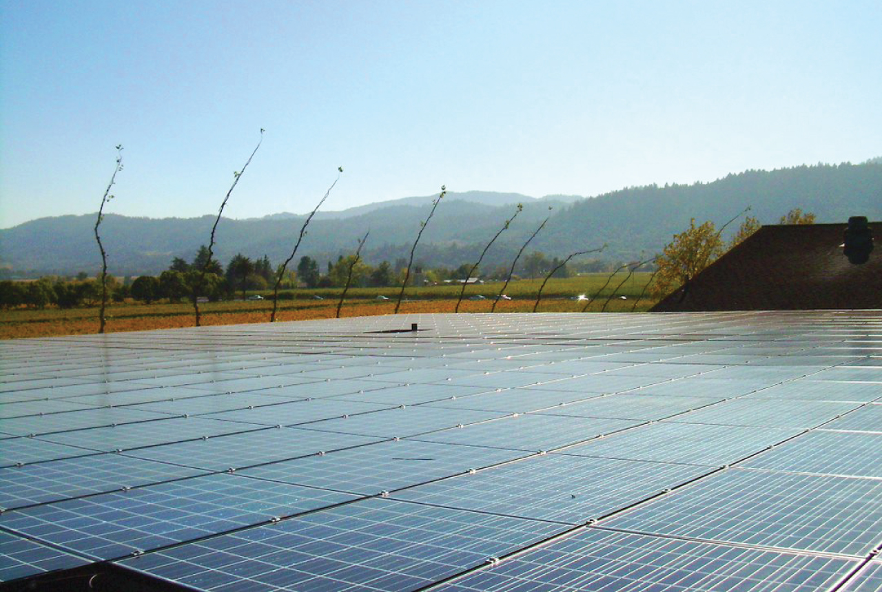 Solar panels at Rutherford Tasting Room