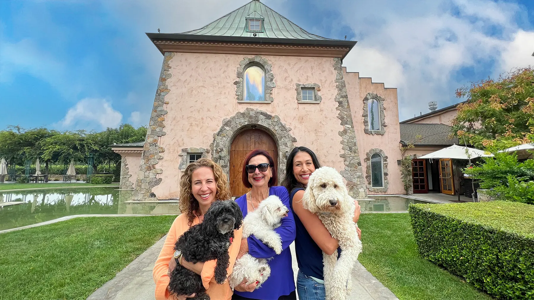 Family & Dogs