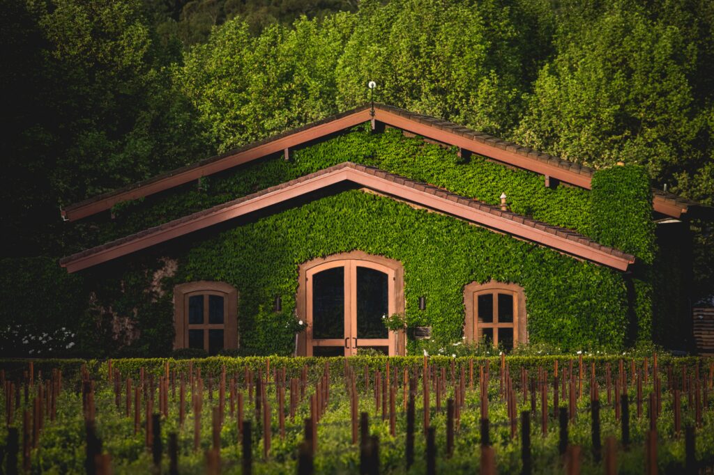 Pestoni Family Winery
